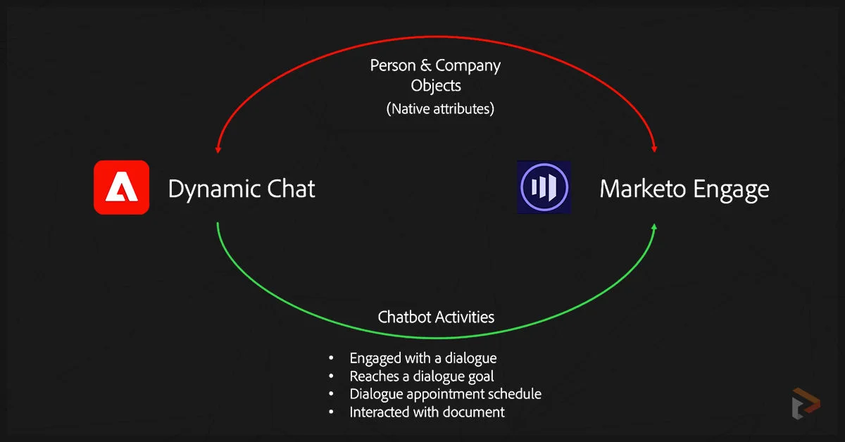 adobe-marketo-dynamic-chat